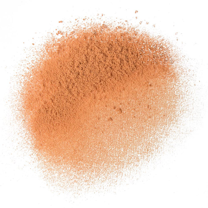 Warmth Highlight Powder-Make-up Designory